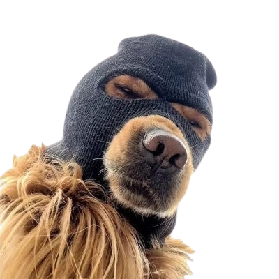 SkyMask