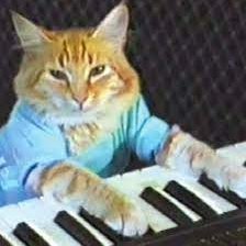 KeyCat